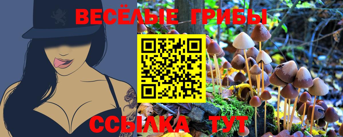 Галлюциногенные грибы Psilocybine cubensis Усть-Илимск